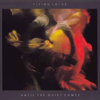 Until The Quiet Comes