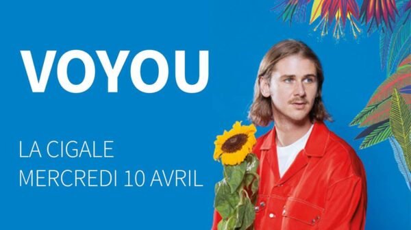 voyou la cigale