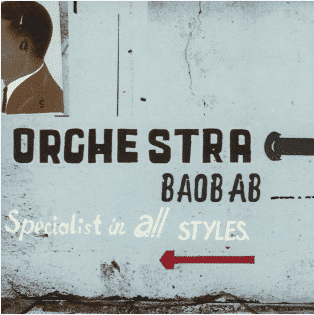 ORCHESTRA BAOBAB Specialist In All Styles
