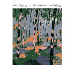 Will Stratton The Changing Wilderness