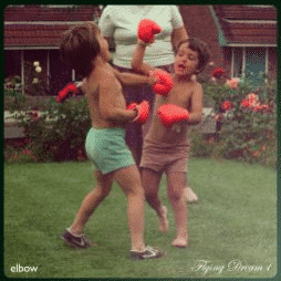 Elbow Flying Dream 1