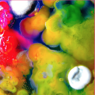 GUERILLA TOSS FAMOUSLY ALIVE