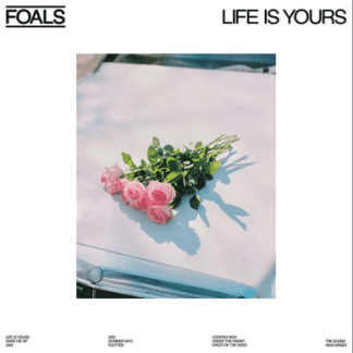 FOALS Life Is Yours