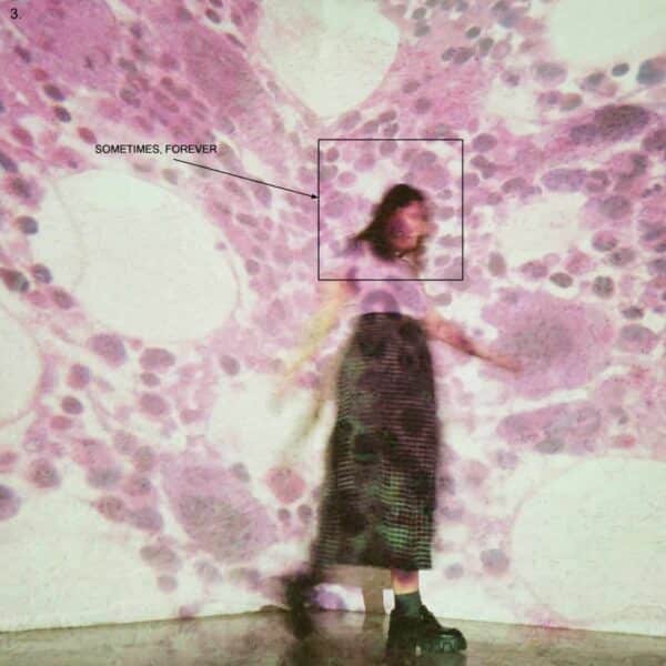 192031-soccer-mommy-sometimes-forever