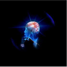 Phenomena Of The Mind Mieko Shimizu