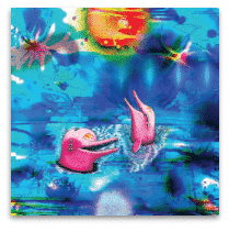 ANTELOPER PINK DOLPHINS