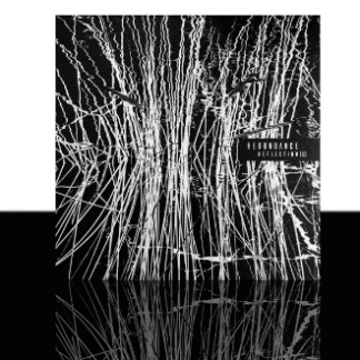 Redondance - Reflection(s)