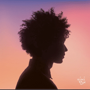 Témé Tan – Témé Tan