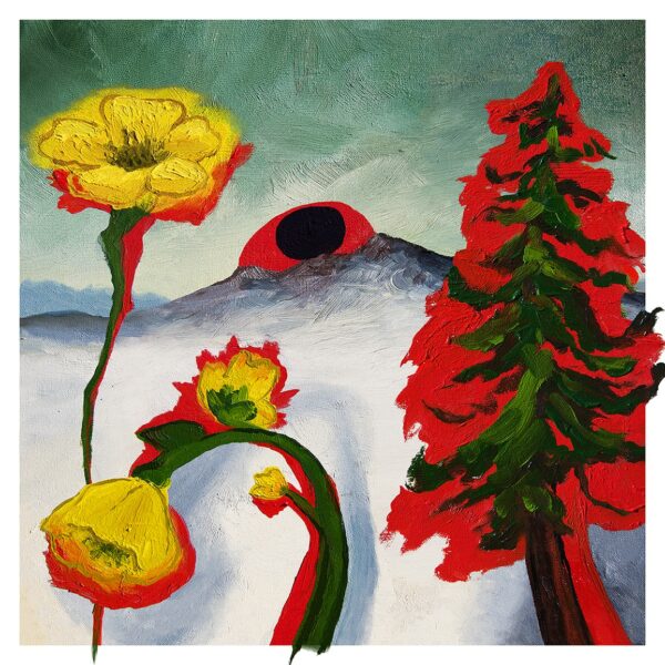 Woods – Strange to Explain