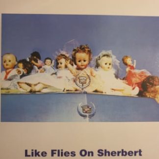 Alex Chilton – Like Flies On Sherbert