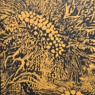 AMANDA WHITING – Little Sunflower