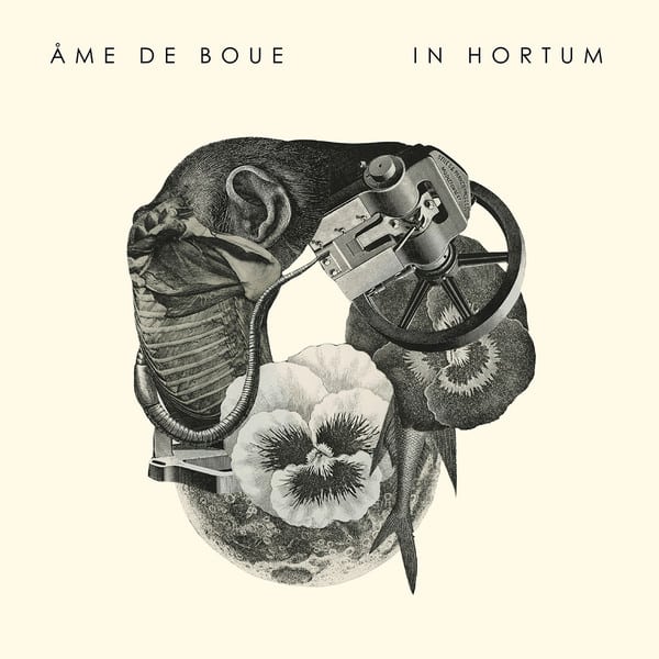 Ame De Boue – In Hortum