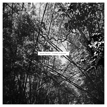 Andrew Pekler – Tristes Tropiques