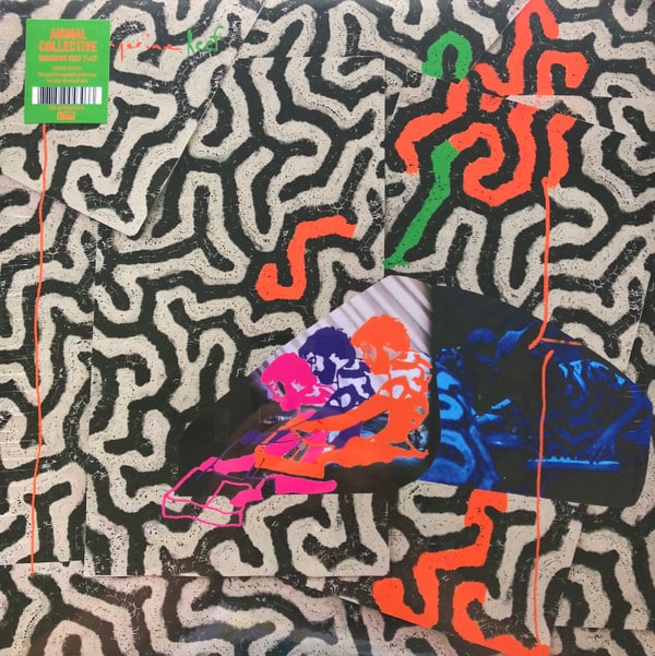 Animal Collective – Tangerine Reef