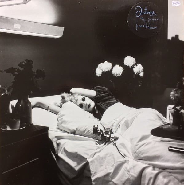 Antony and the Johnsons – I Am A Bird Now