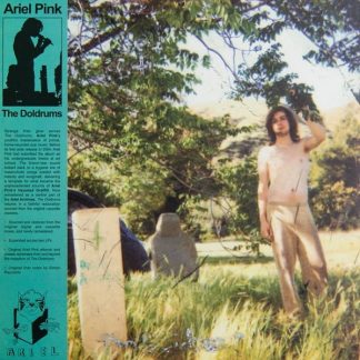 Ariel Pink’s Haunted Graffiti – The Doldrums