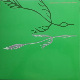 Astrid Sonne – Outside Of Your Lifetime