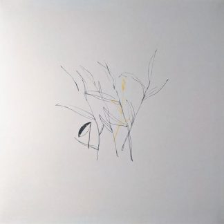 Benoit Pioulard – Slow Spark, Soft Spoke