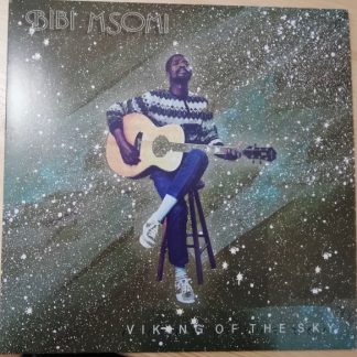 Bibi Msomi – Viking of the Sky