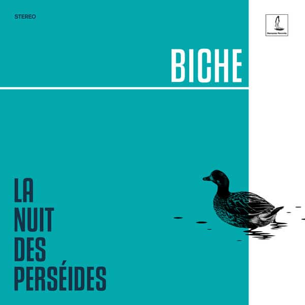 Biche (3) – La Nuit des Perséides