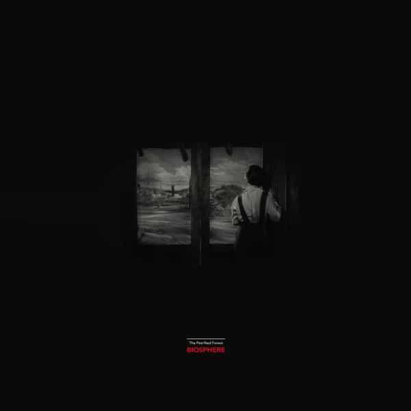Biosphere – The Petrified Forest