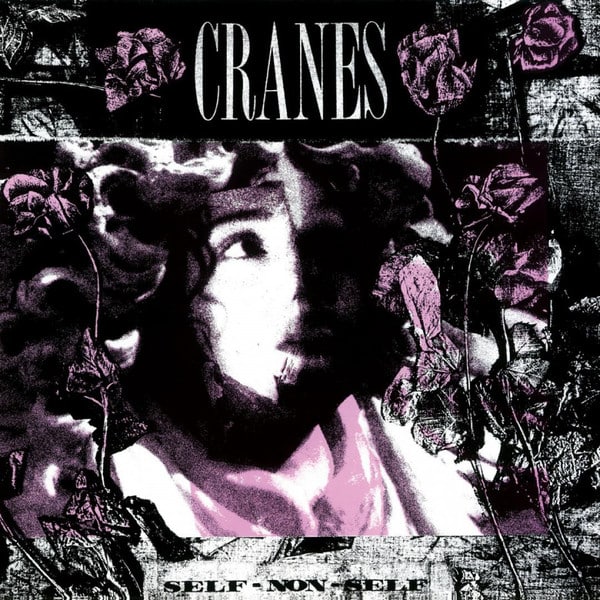 CRANES – Self-Non-Self
