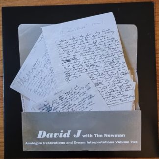 David J with Tim Newman – Analogue Excavations & Dream Interpretations Volume 2