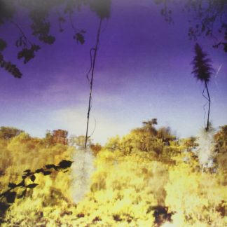 Disco Anti Napoleon – Ascent