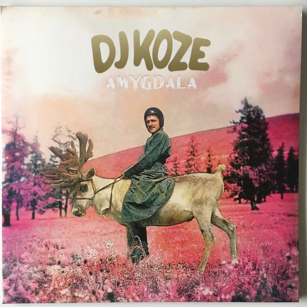 DJ Koze – Amygdala
