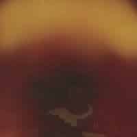 Dustin Wong – Mediation Of Ecstatic Energy