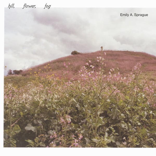 Emily Sprague – Hill, Flower, Fog