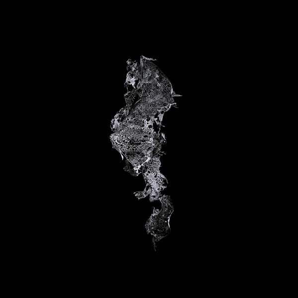 Fant^ms – Roomtones