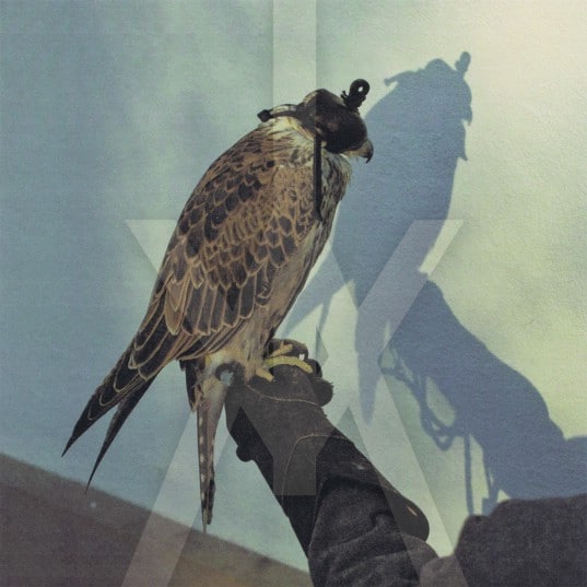Iceage – You’re Nothing