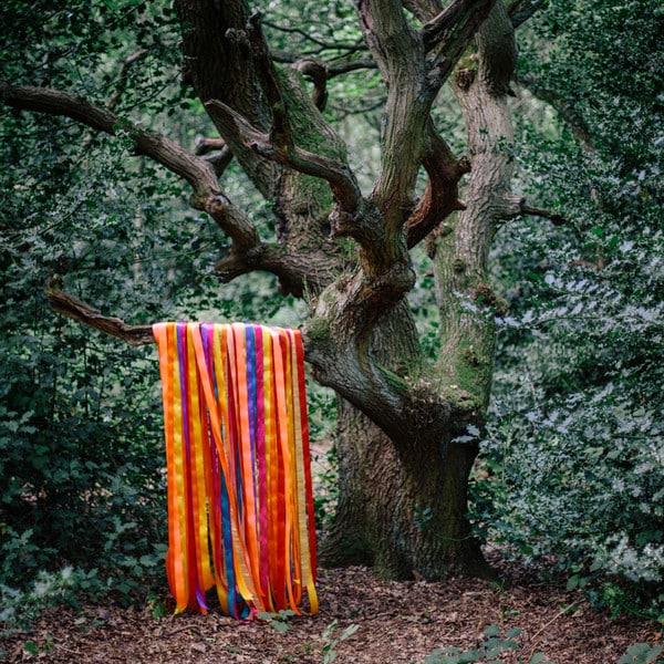 James Holden – The Animal Spirits