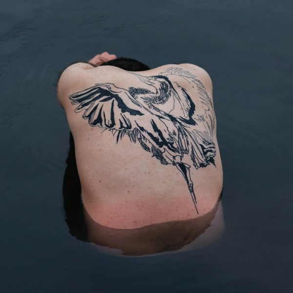 Jodi (14) – Blue Heron