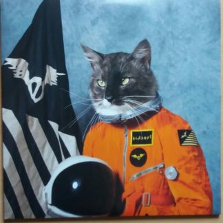 Klaxons – Surfing The Void