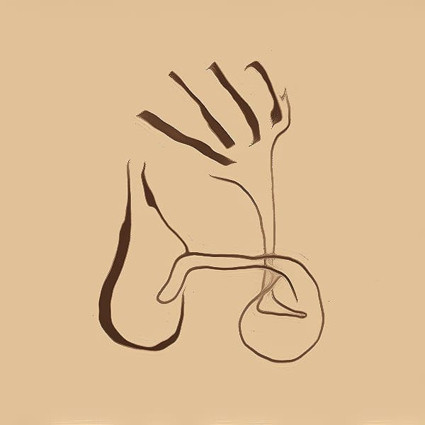 Konstrukt – Live At Cafe Oto