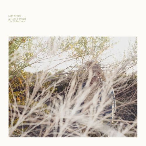 Luke Temple – A Hand Through The Cellar Door