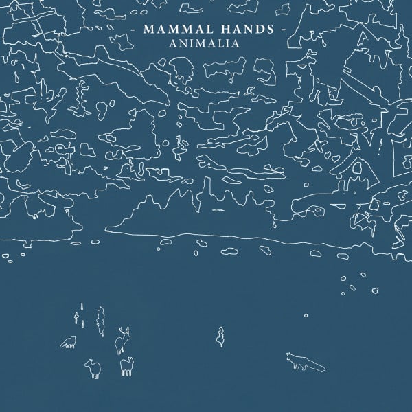 MAMMAL HANDS – Animalia