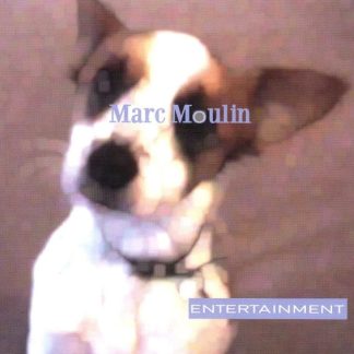 Marc Moulin – Entertainment