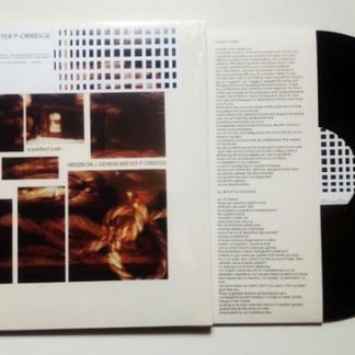 Merzbow – A Perfect Pain
