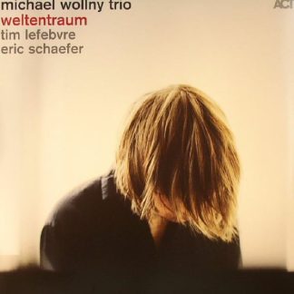 Michael Wollny Trio – Weltentraum