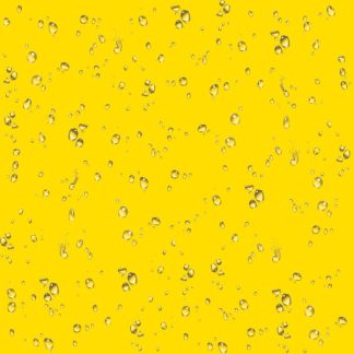 Mister Water Wet – Bought The Farm