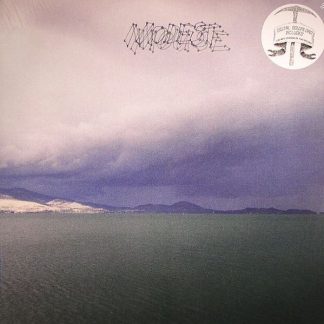 Modest Mouse – The Fruit That Ate Itself