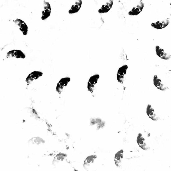 moiramonolithe