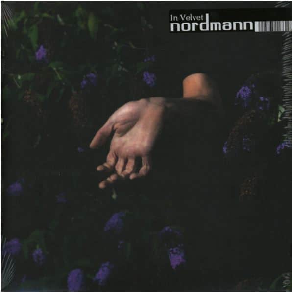 Nordmann (3) – In Velvet