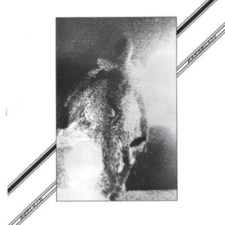 Nuts & Co – Kangourou