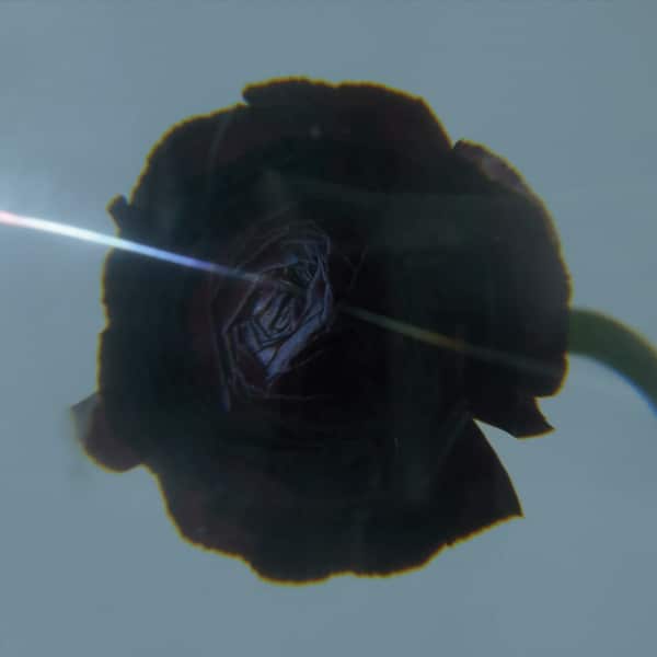 Pablo’s eye – Dark Matter