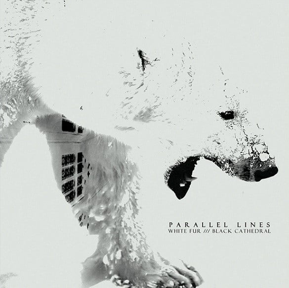 Parallel Lines (2) – White Fur /// Black Cathedral