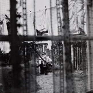 Paul McCartney – Chaos And Creation In The Backyard